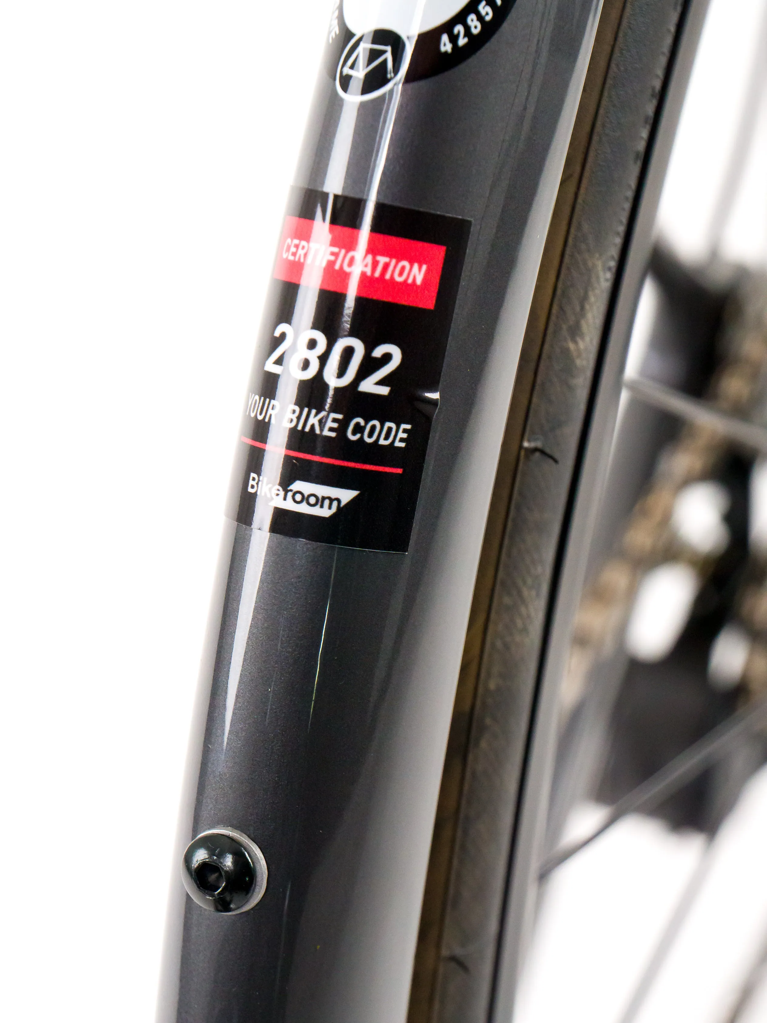 3T Strada 2024 size S Campagnolo Ekar 1x13sp