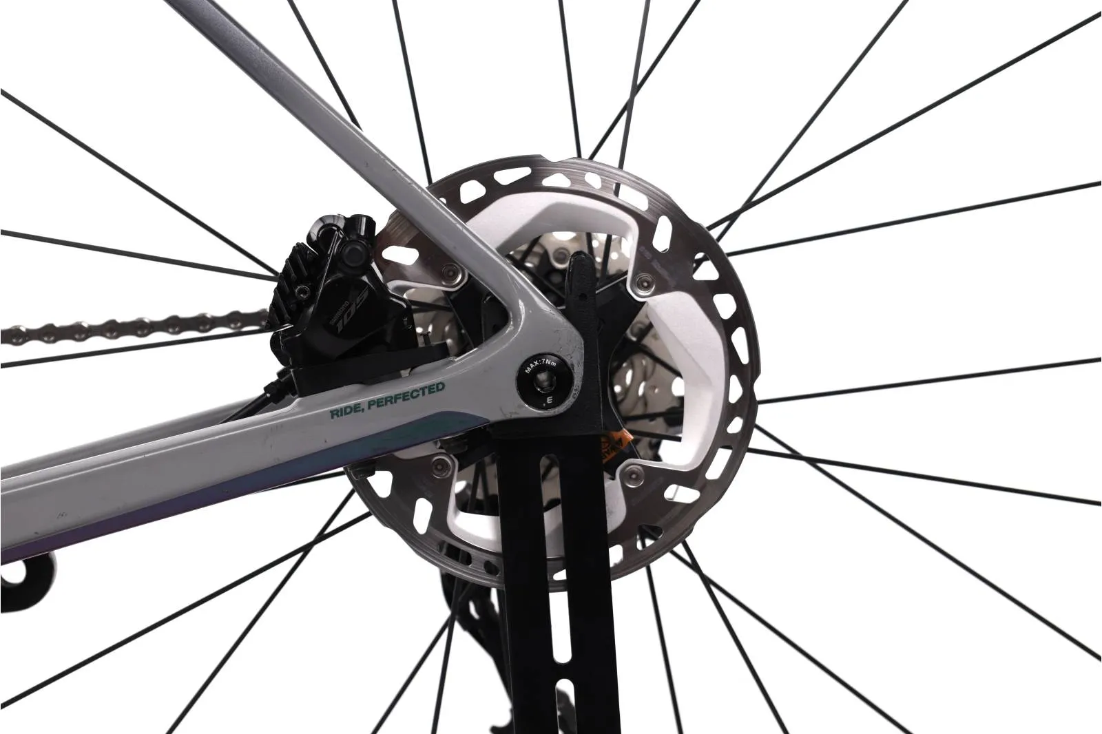 Basso Astra 2024