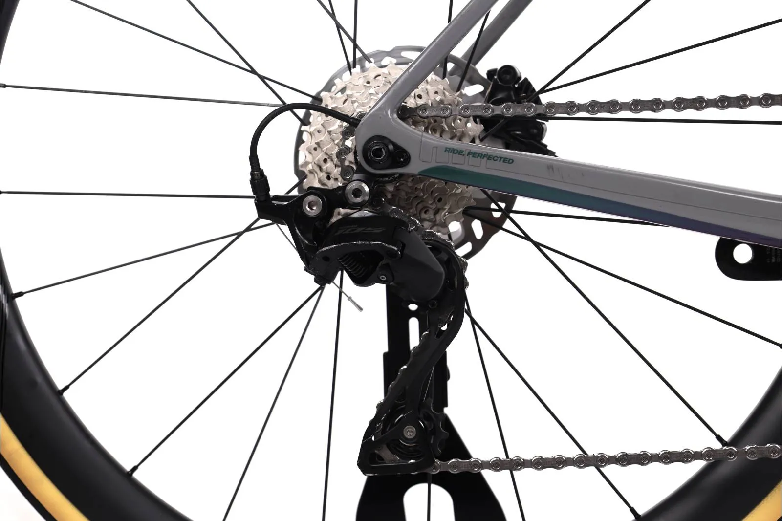 Basso Astra 2024