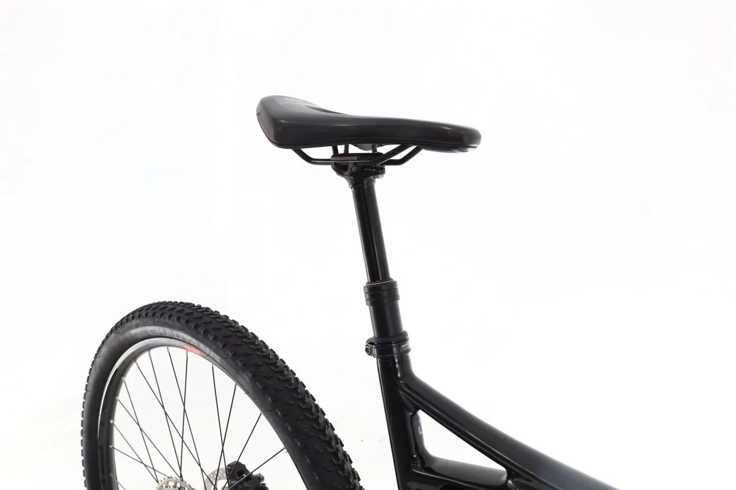 BH Lynx Race 2022