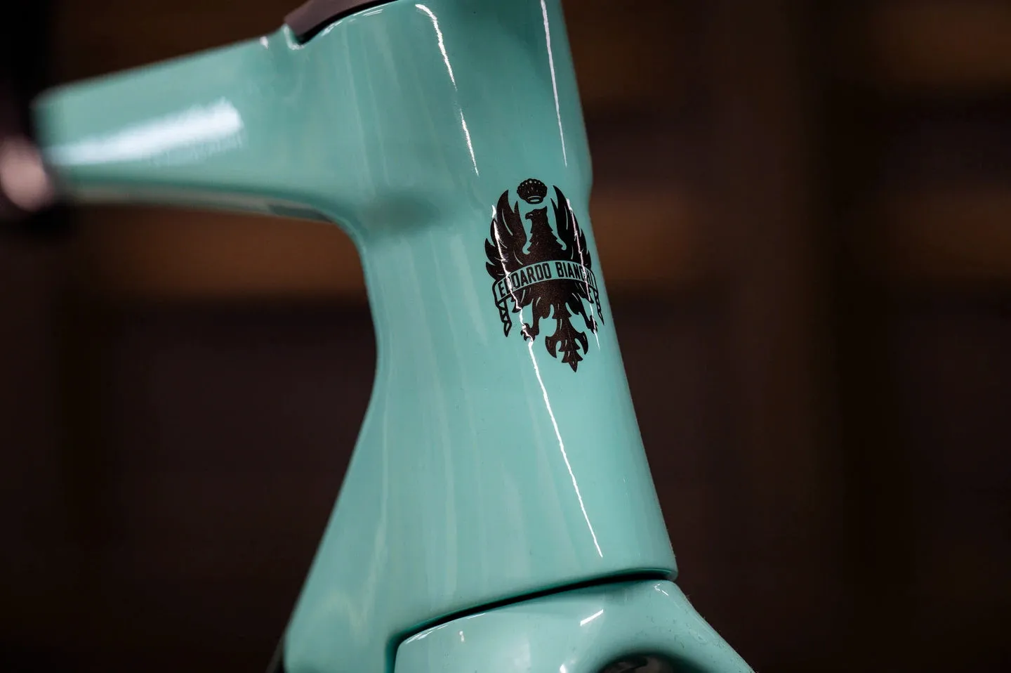 Bianchi Specialissima COMP 2025 - Shimano 105 Di2 12sp - Velomann Palladium, 33mm profile