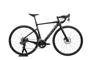Cervlo Caledonia 2024
