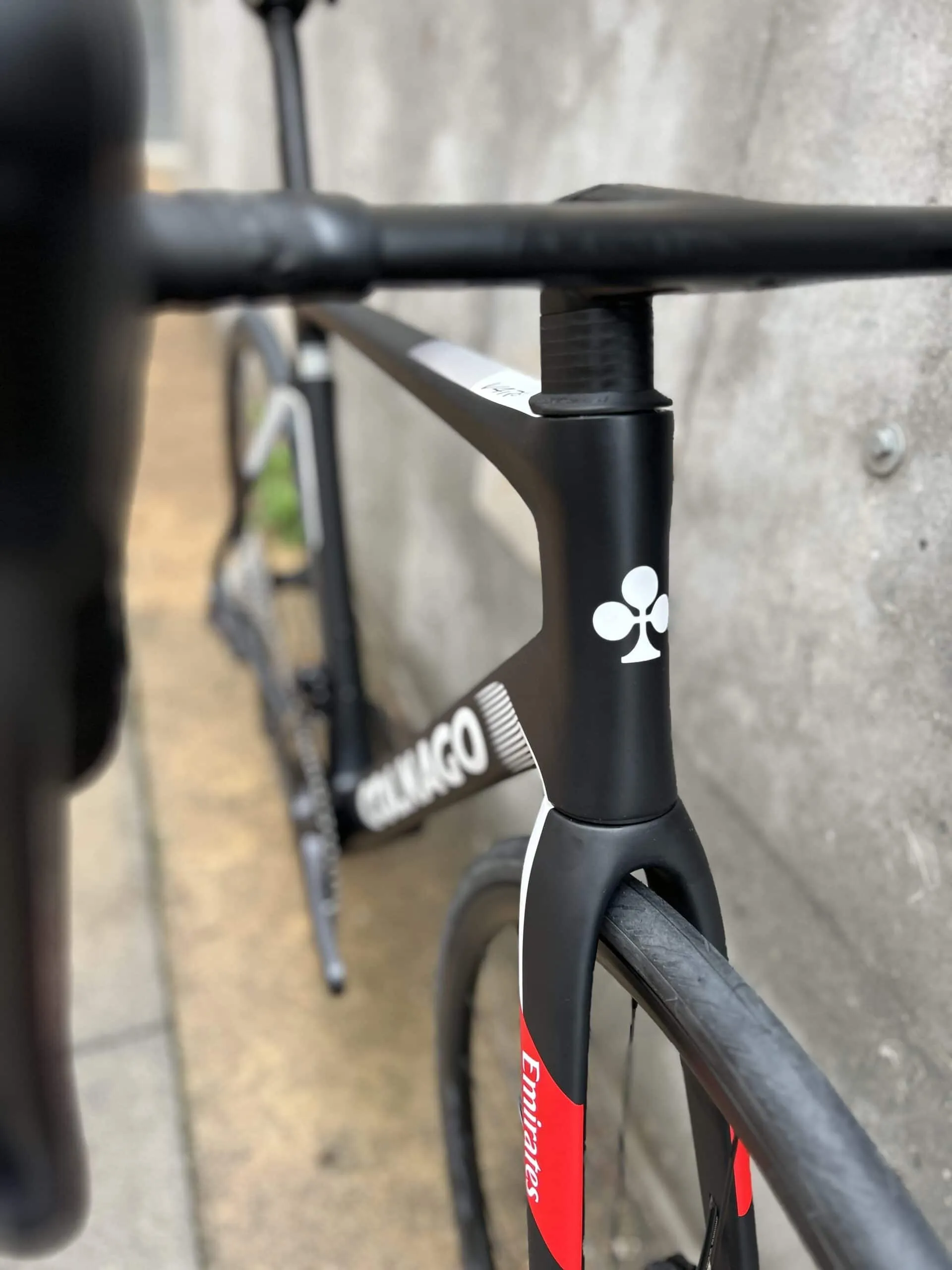 Colnago V4Rs 2025 - Shimano Ultegra Di2 2x12sp - Fulcrum Racing 600 DB