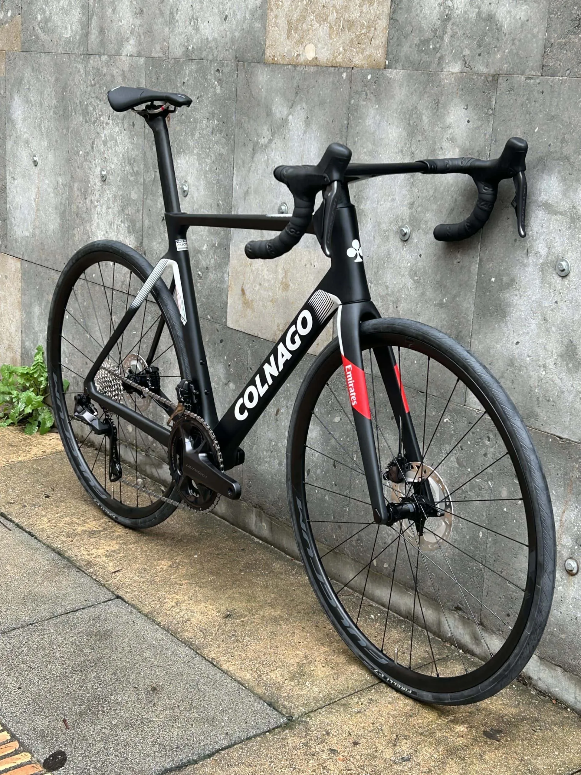 Colnago V4Rs 2025 - Shimano Ultegra Di2 2x12sp - Fulcrum Racing 600 DB