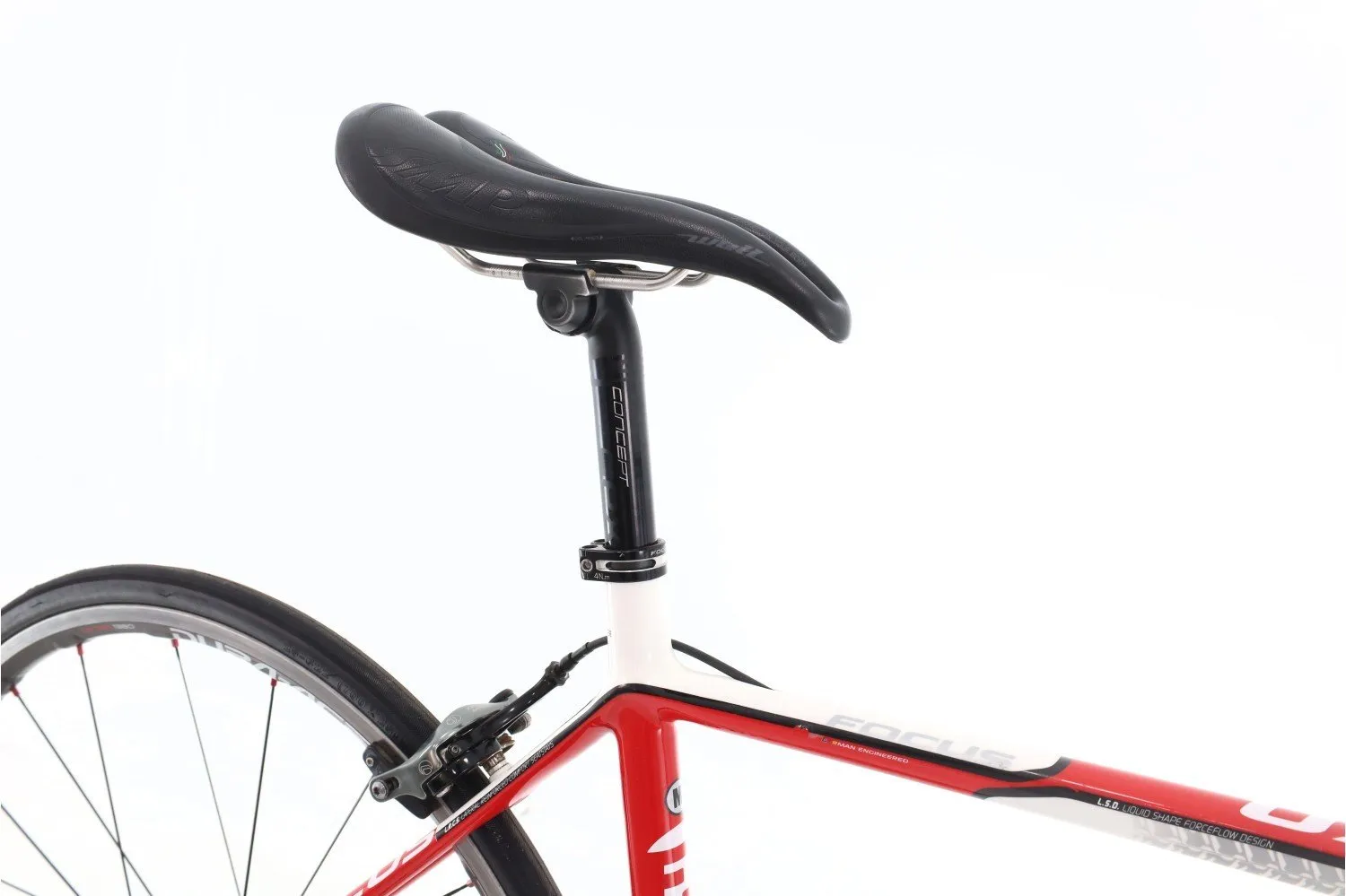 Focus Cayo Evo 2015