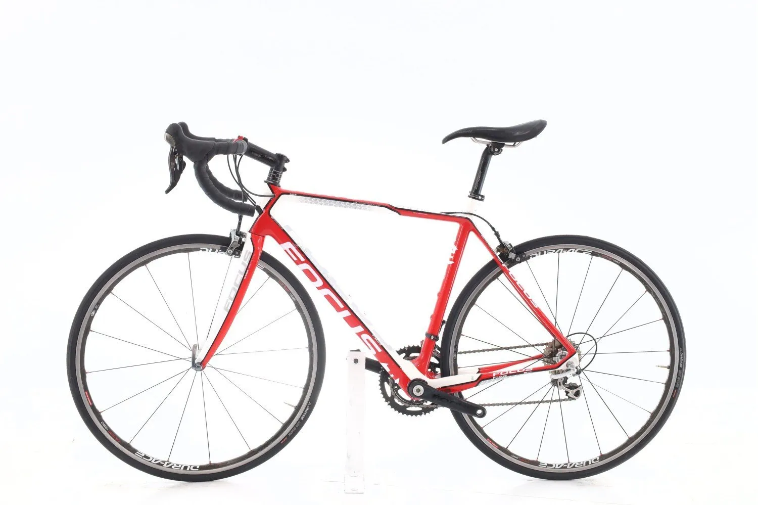 Focus Cayo Evo 2015