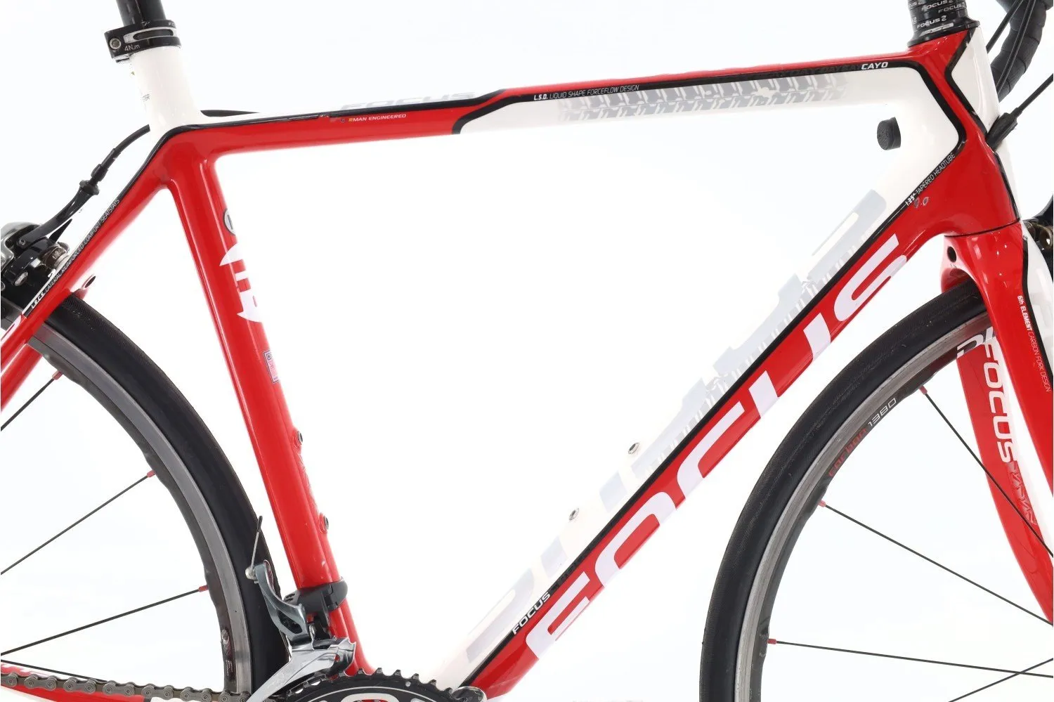 Focus Cayo Evo 2015