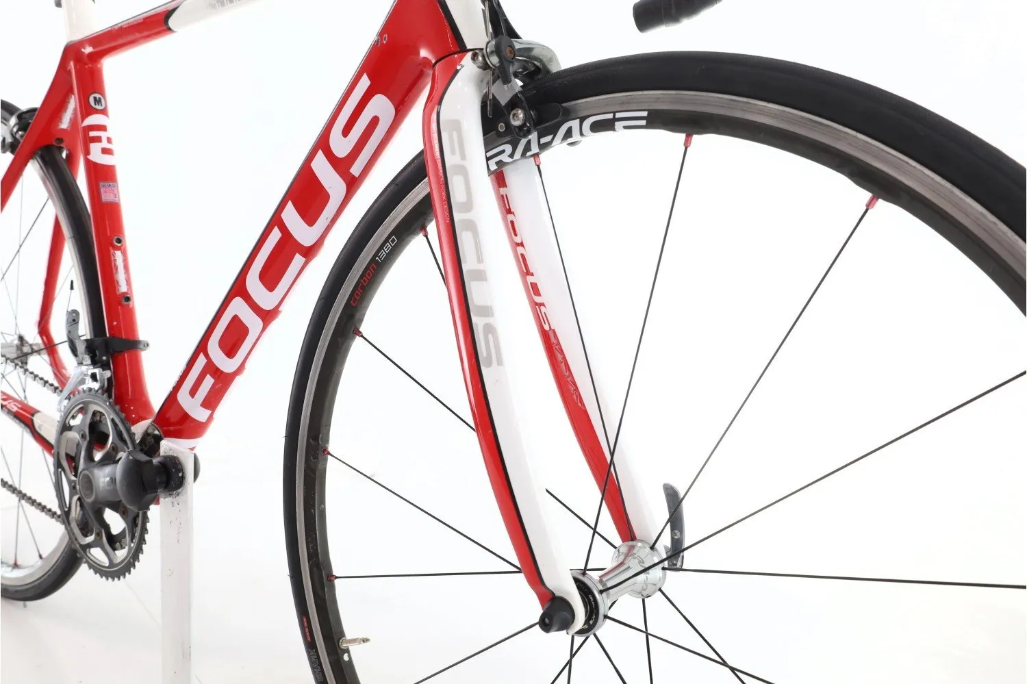 Focus Cayo Evo 2015