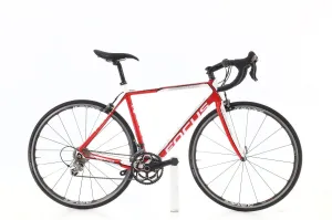 Focus Cayo Evo 2015