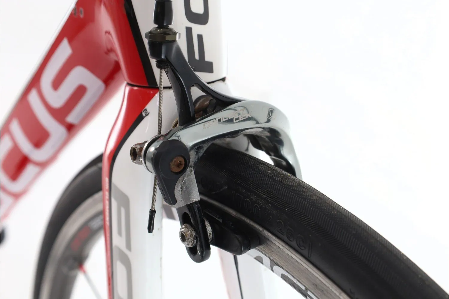 Focus Cayo Evo 2015
