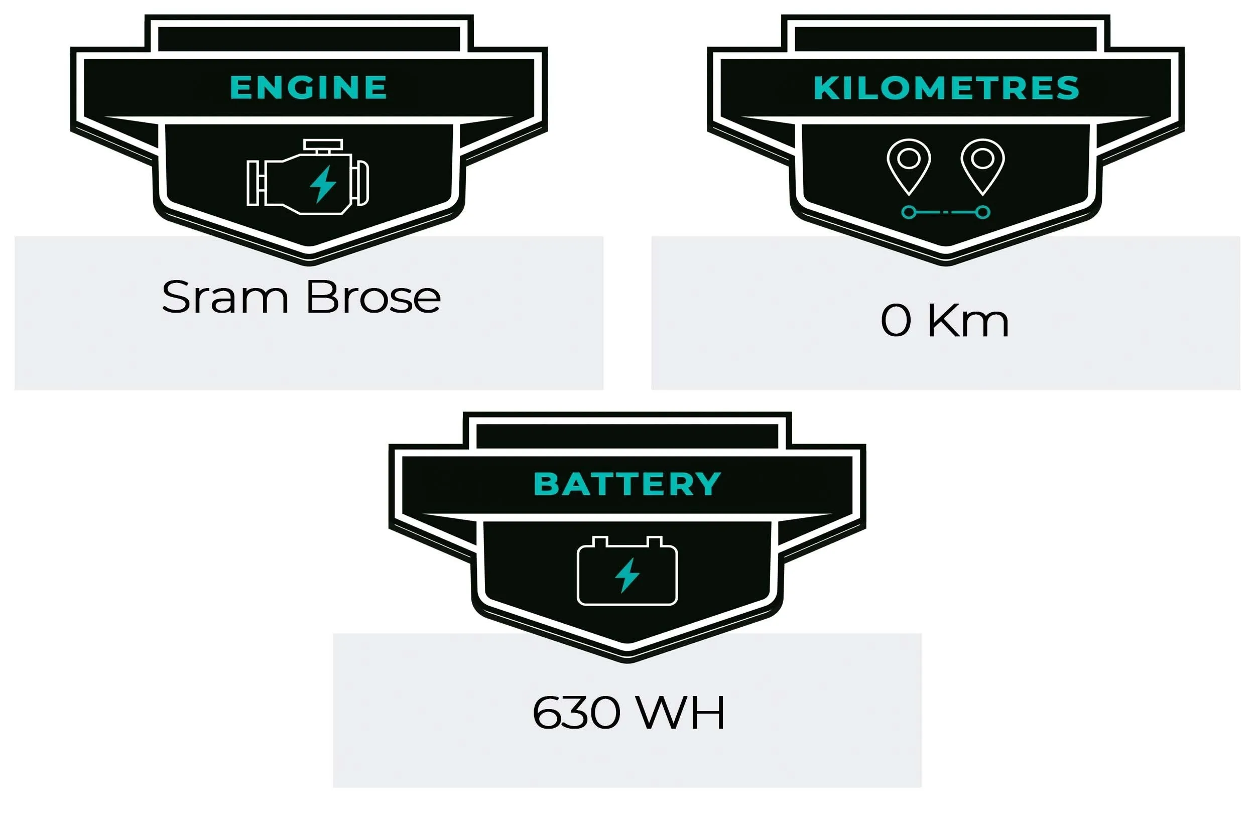 Gas Gas  Ecc 6 2024