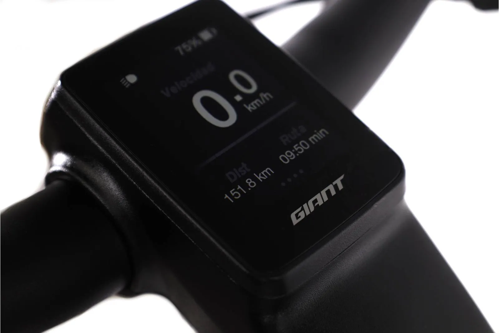 Giant Anytour 2021 - Shimano Relief - Giant Ex 2