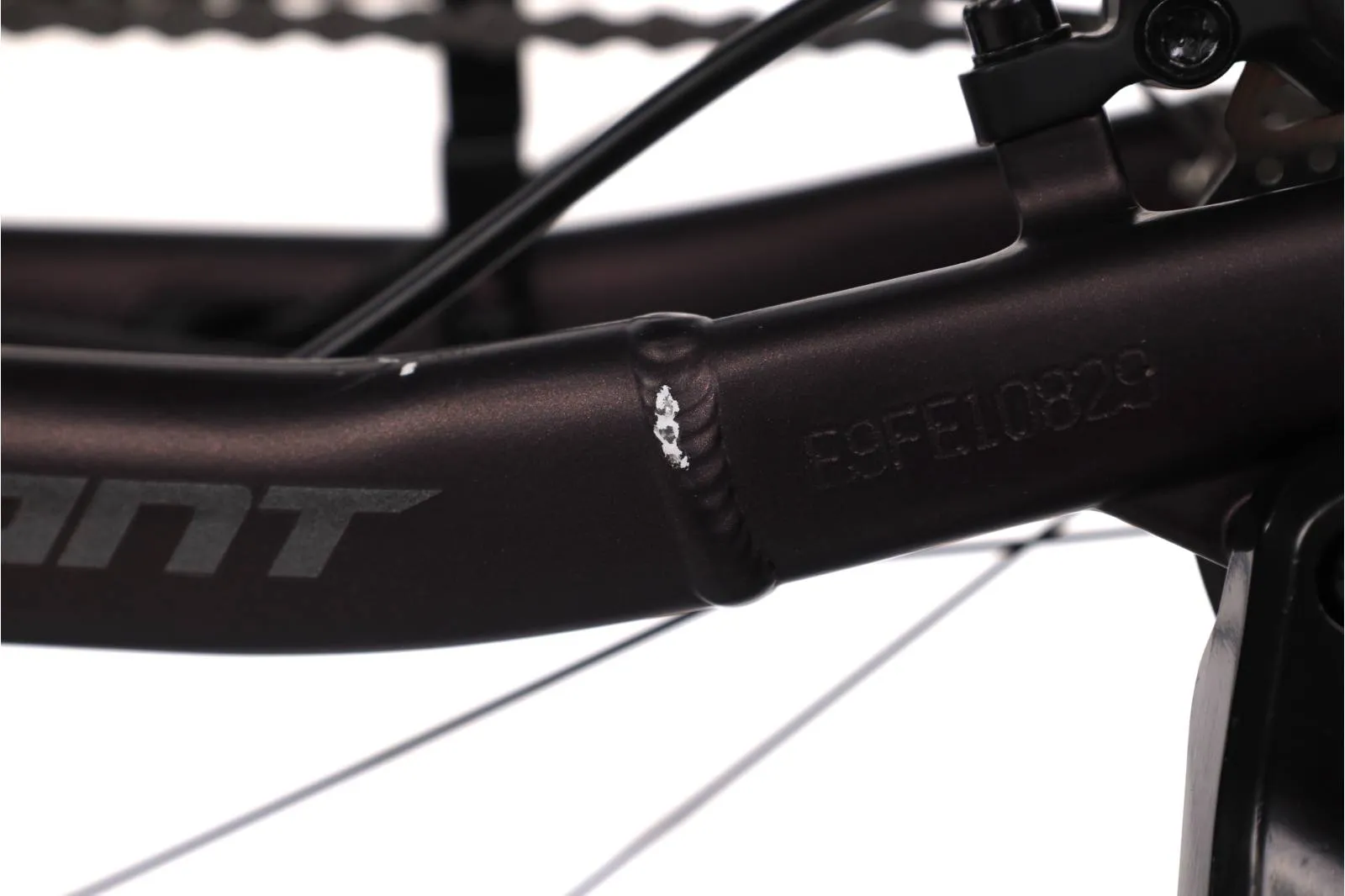 Giant Anytour 2021 - Shimano Relief - Giant Ex 2
