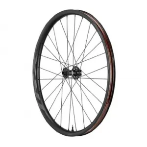 GIANT MY21 TRX-2 MTB 29" Boost Wheelset