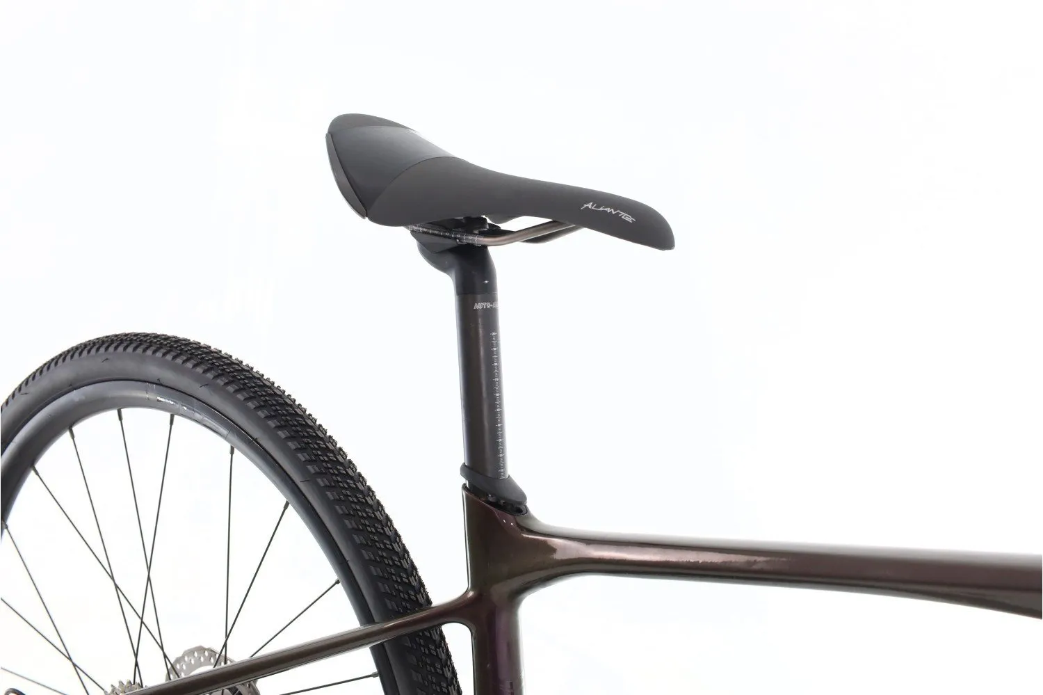 Giant Revolt 2 2021
