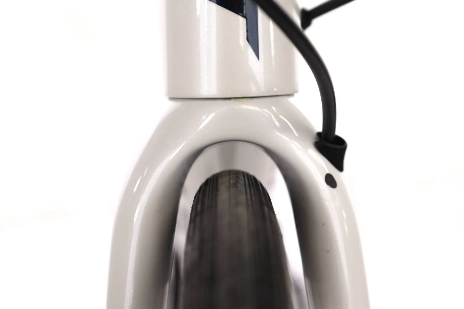 Giant TCR 2021