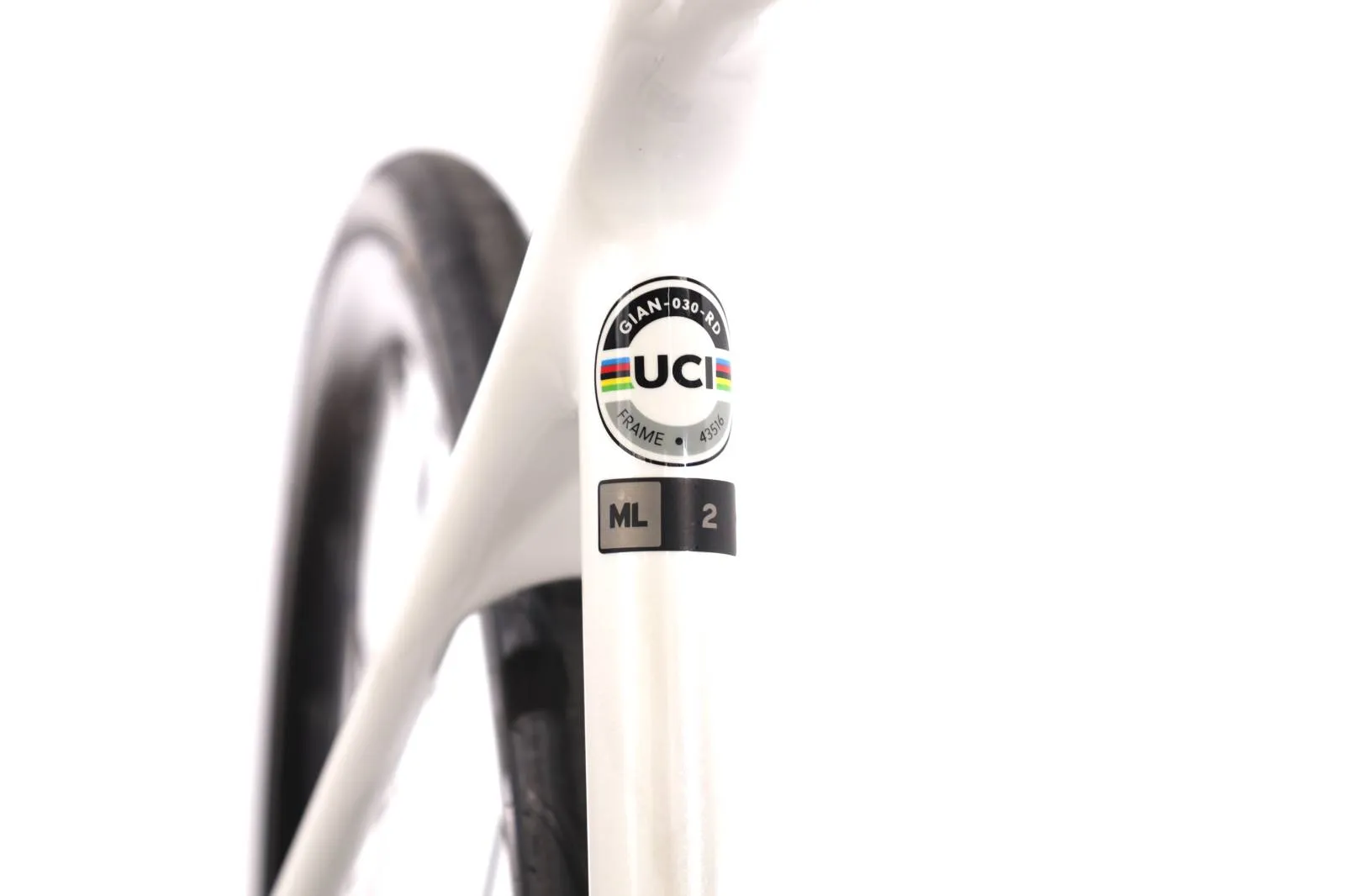 Giant TCR 2021