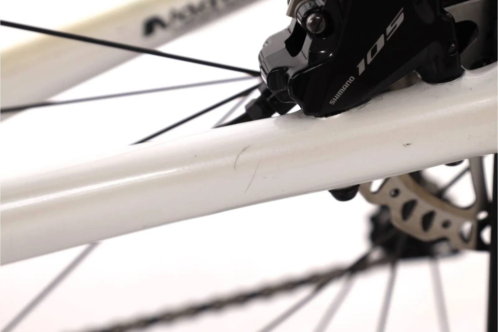 Giant TCR 2021