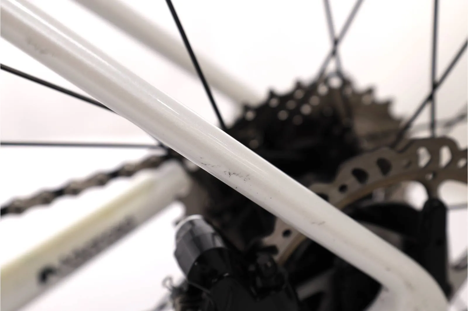Giant TCR 2021