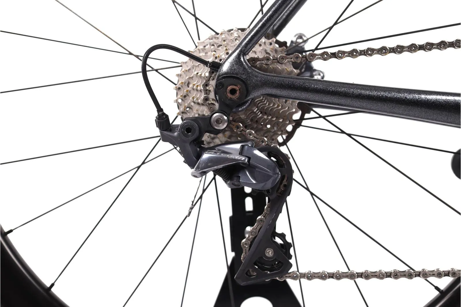 Giant TCR 2022