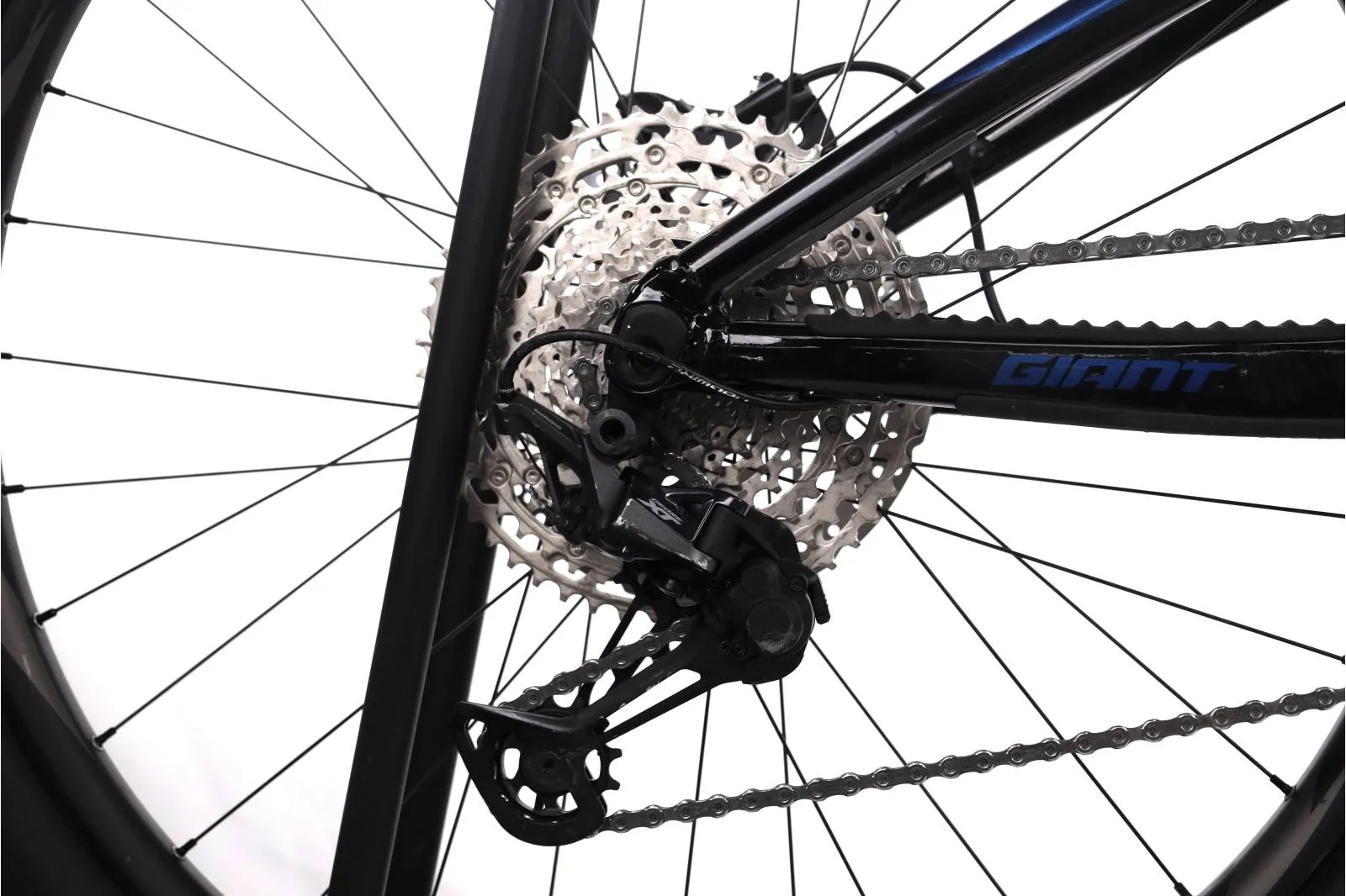 Giant Trance 2021