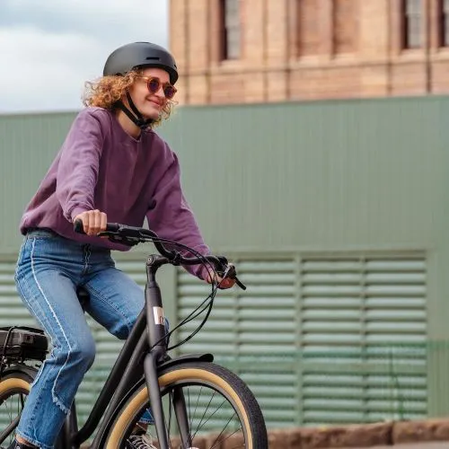 Lafree E  20MPH E-Bike