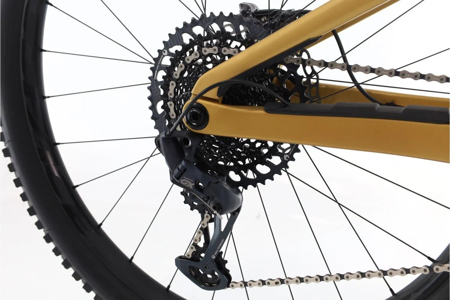 Orbea Rallon 2024