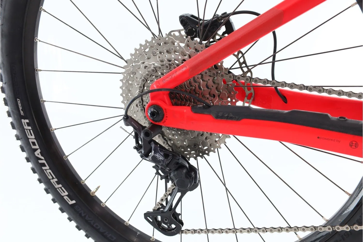 Orbea Wild 2022