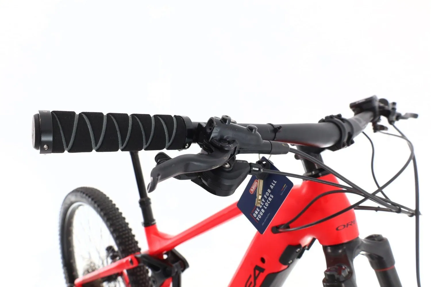 Orbea Wild 2022