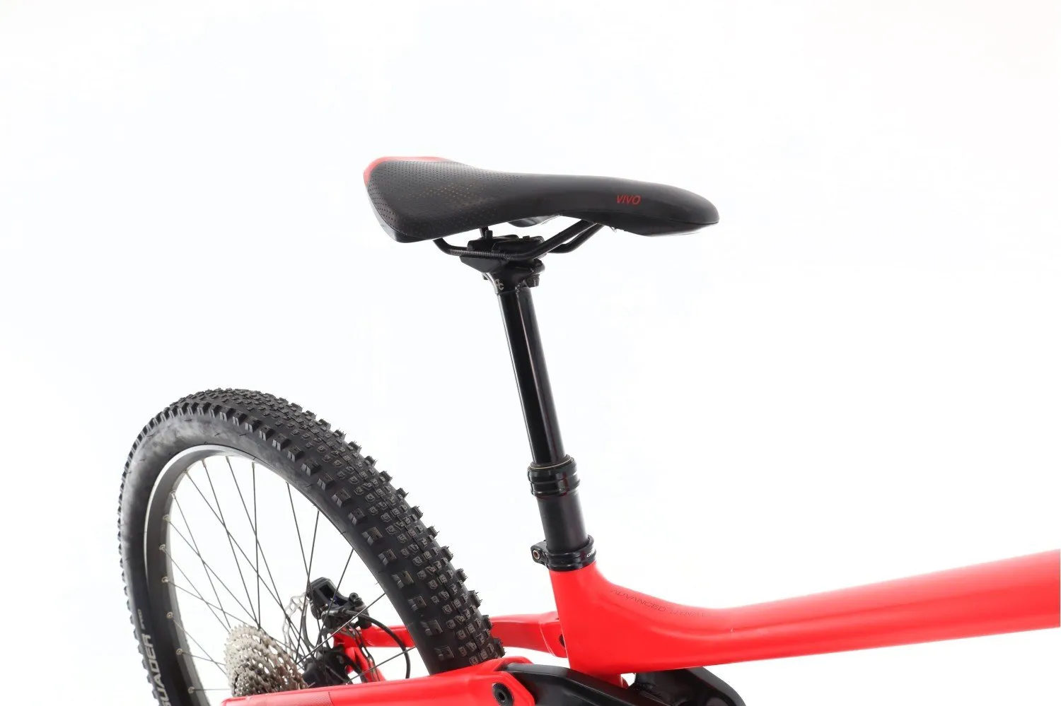 Orbea Wild 2022