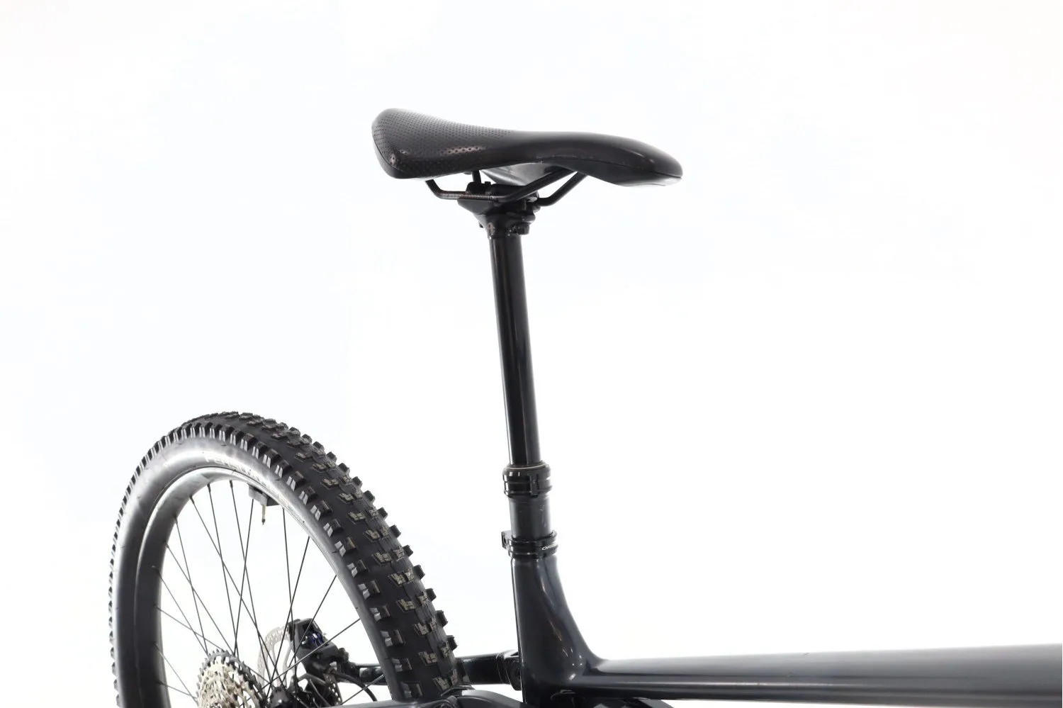 Orbea Wild 2023
