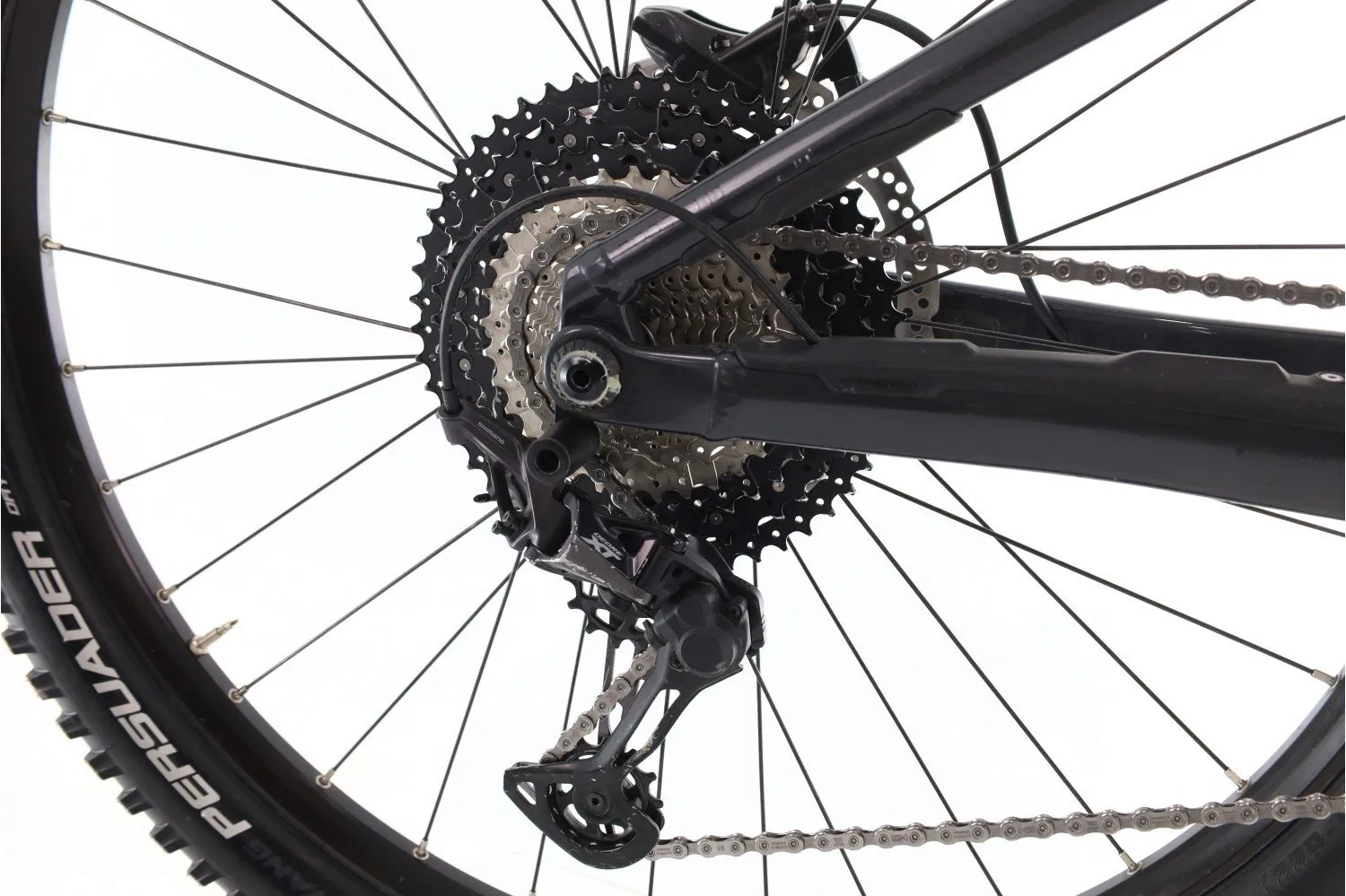 Orbea Wild 2023
