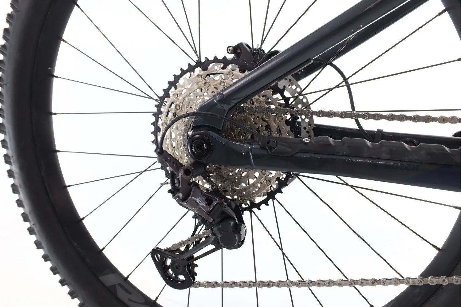 Orbea Wild 2023