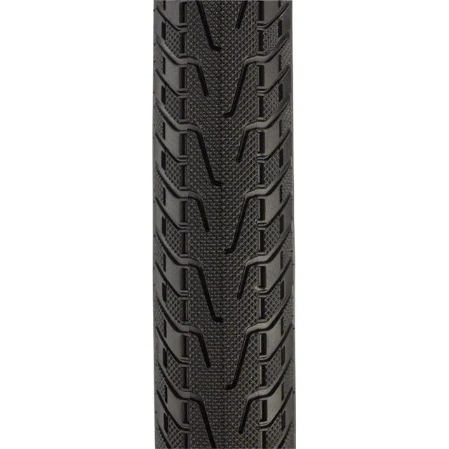 Pasela ProTite Touring-Hybrid Bike Tire - 700 x 38, Clincher, Folding/Tan, 60tpi