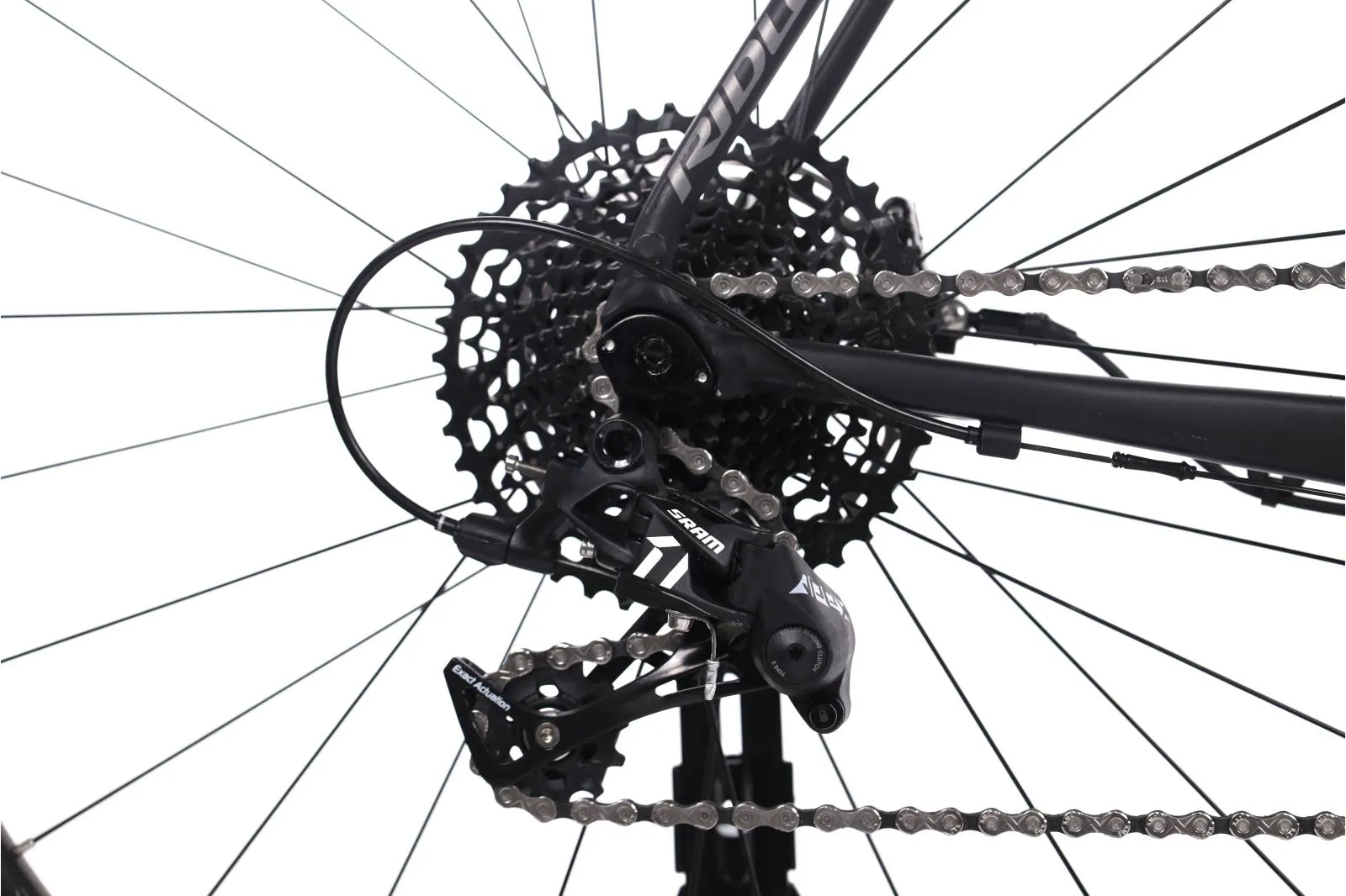 Ridley Kanzo 2023