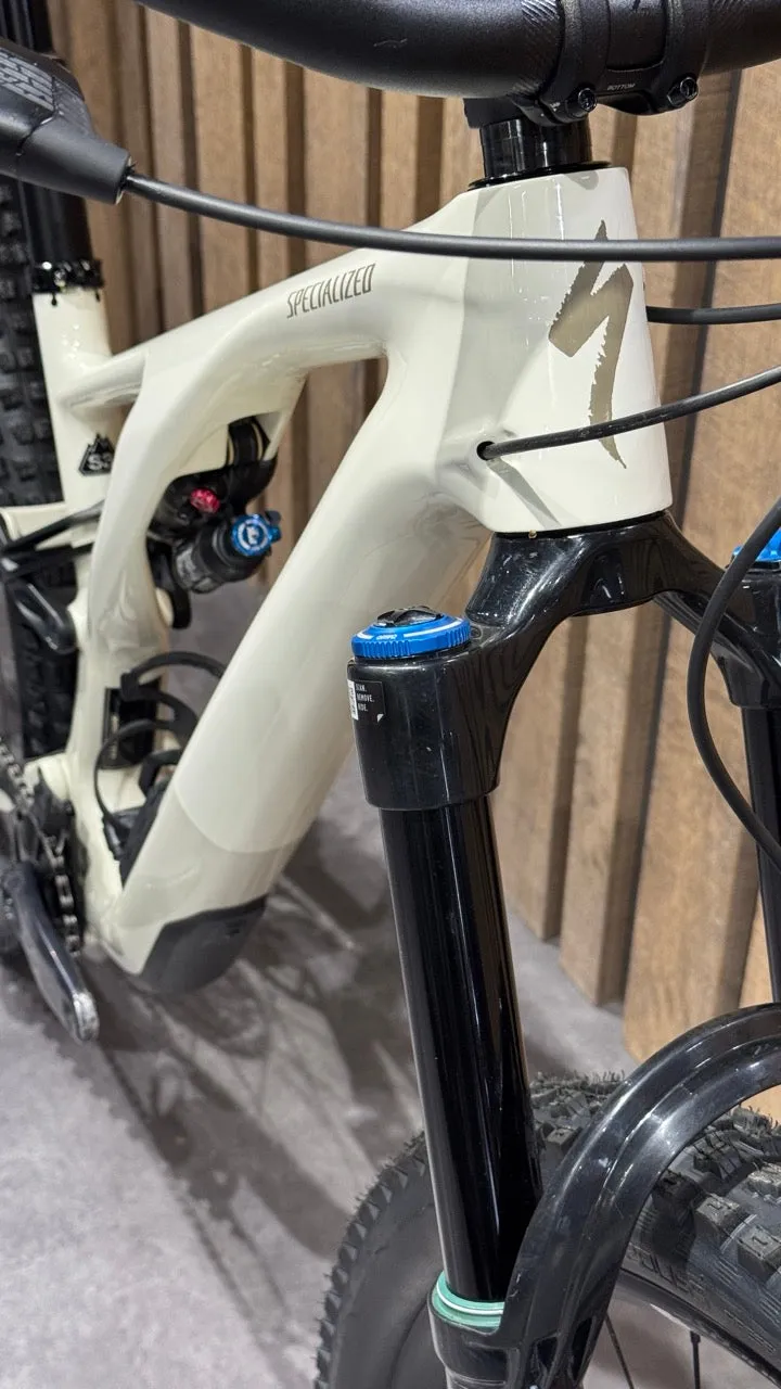 Specialized Stumpjumper EVO Expert - Sram GX Eagle AXS 1x12sp - Roval Traverse 29