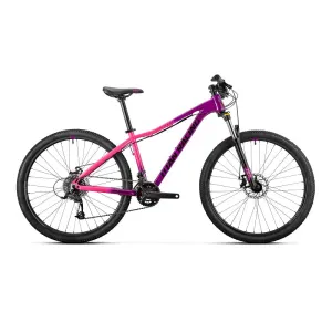 TITAN RACING Rogue Calypso Nova (2023)