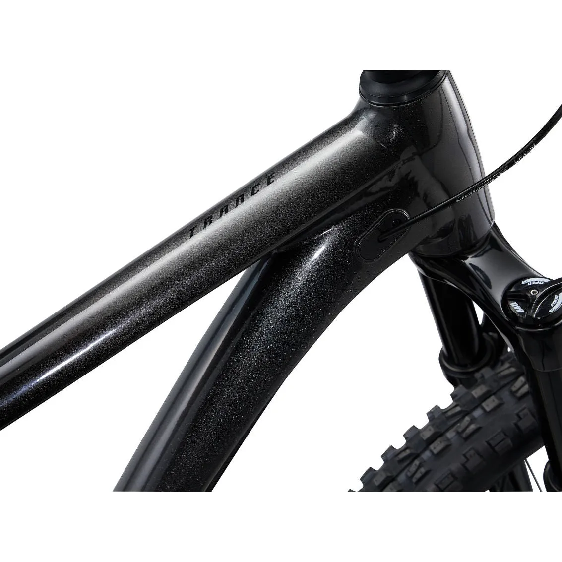 Trance 2 29er Mountain Bike (2022)