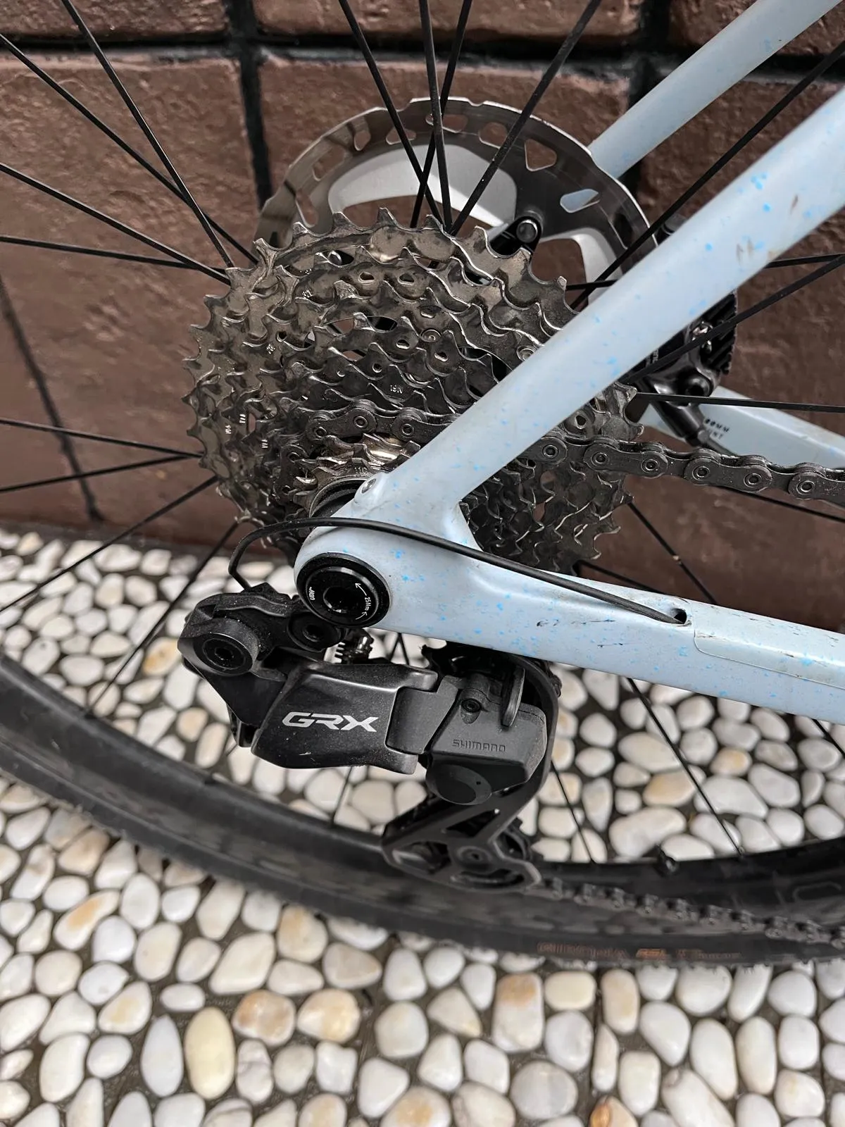 Trek Checkmate SLR 2024 - Shimano GRX Di2 2x12sp - Bontrager Aeolus RSL 37