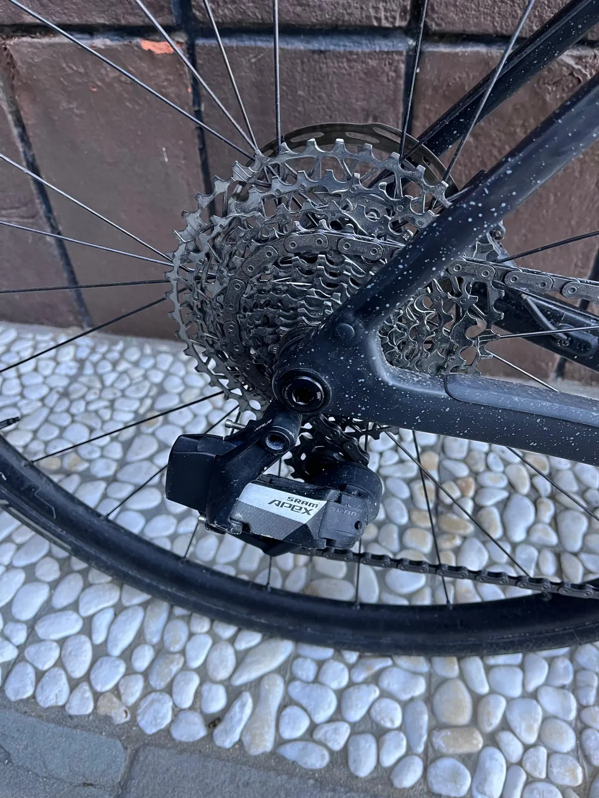 Trek Checkpoint SL 5 AXS Gen 3 2025 - Sram Apex XPLR AXS 1x12sp - Bontrager Paradigm SL