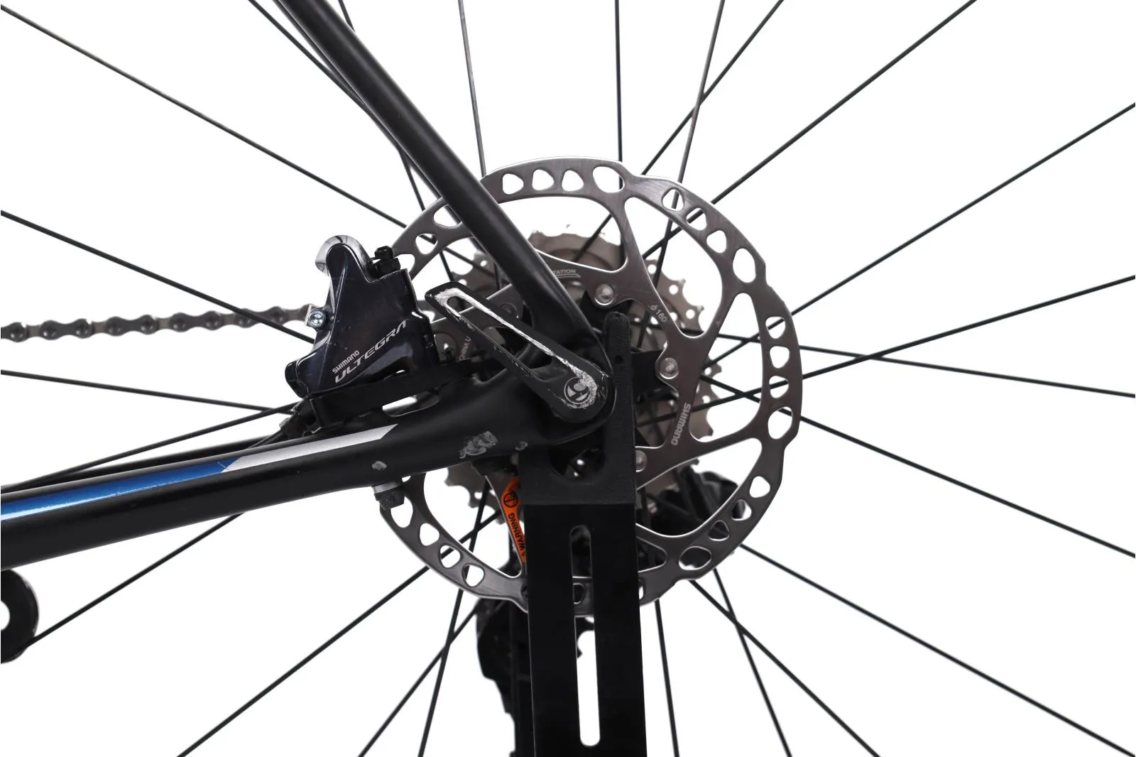Trek monda 2020