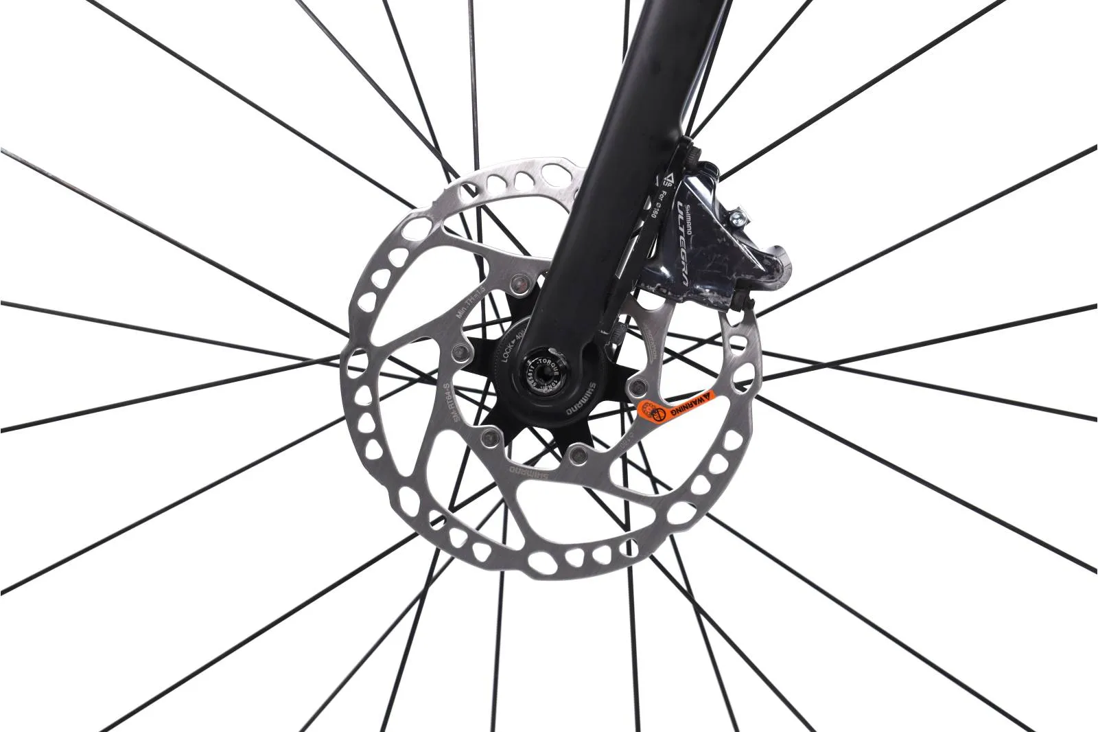Trek monda 2020