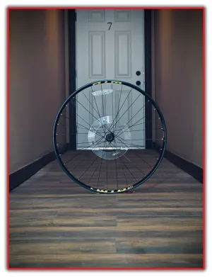 WTB ST i29 29" MTB Rear Wheel 141mm QR Quick Release FH-MT200-B Shimano 12 spd